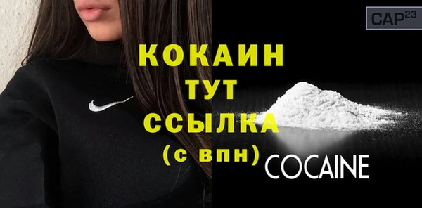 тгк Лиски