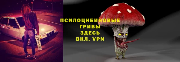 сатива Лихославль