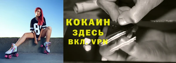 соль ск Магас