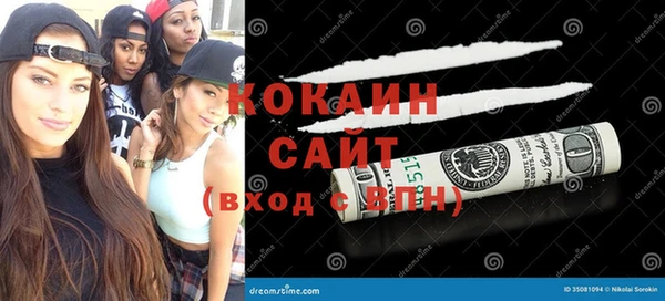 сатива Лихославль
