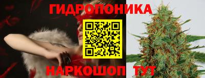Альфа ПВП Гусиноозёрск