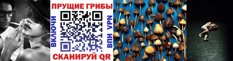 Галлюциногенные грибы мицелий  Краснокамск 