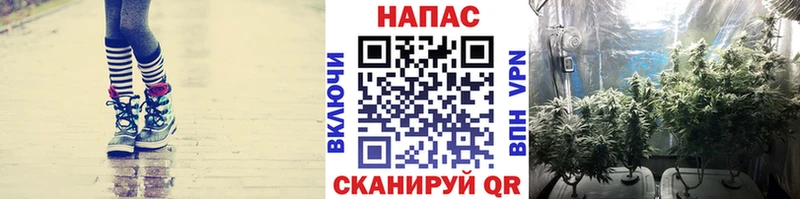 цена   Краснокамск  Бошки марихуана марихуана 